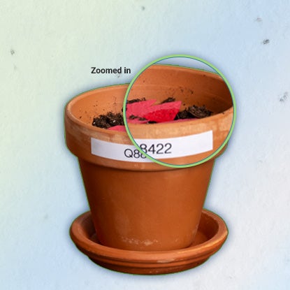 A photo showing a flower pot with torn up red seeded paper in the top.