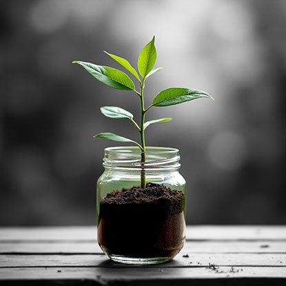 An AI-generated image showing a green plant growing out of soil in a small mason jar, resting on a wood plank surface.