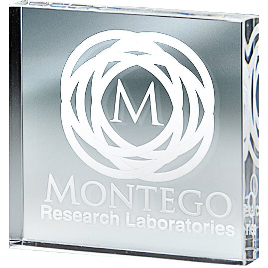 Photo Block Paperweight Logo Freestanding Lucite Block Paperweights (3